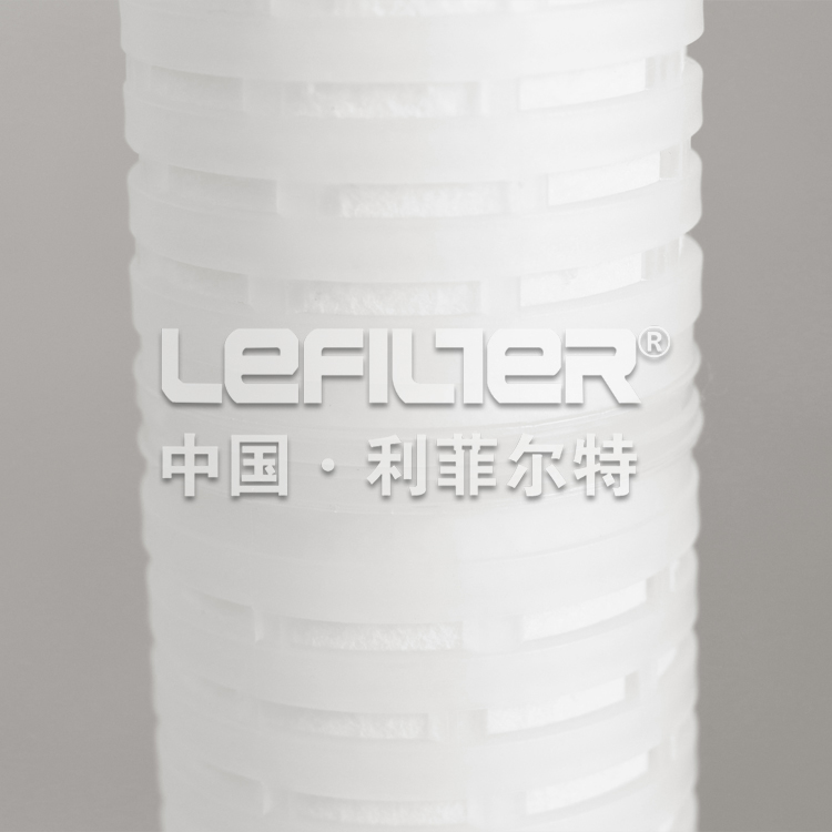 Pleated Cartridge Filter 2